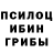 Галлюциногенные грибы Psilocybe bermet jyldyzbekova