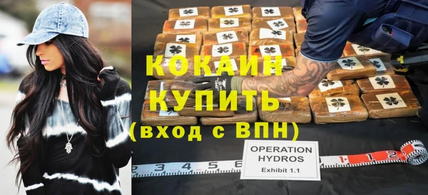 гидра Алексин