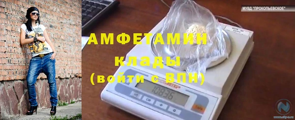 гидра Алексин