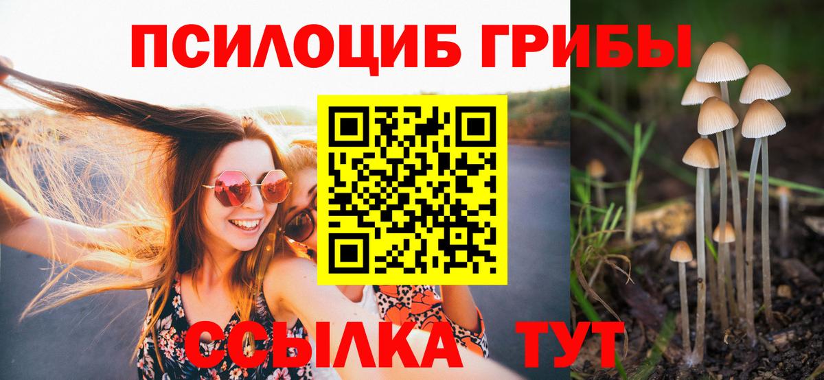 Тамбов  даркнет сайт  Вход с VPN  Псилоцибиновые грибы Cubensis 