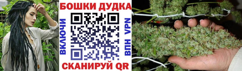 darknet клад  как найти наркотики  Тамбов  Конопля White Widow 